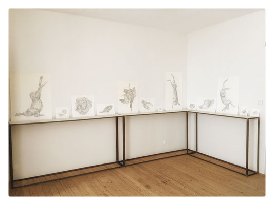 Delicatessen (Suite Boulimie) / 2016 / 13 réalisations présentées sur consoles / Mine graphite sur papier, bois, métal / 191x430x30 cm l'ensemble