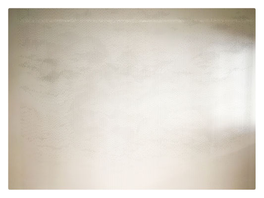 Mitraille / 2022 / Chevrotine, fil de nylon, clou, bois / 300x240x40 cm   