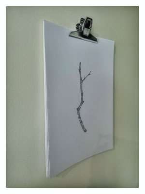 Heur / 2023-2024 / Mine graphite sur papier Canson, pinces à monter / 42x29,7 cm chaque dessin  5 piles / 42 dessins / Épaisseurs variables / Détail