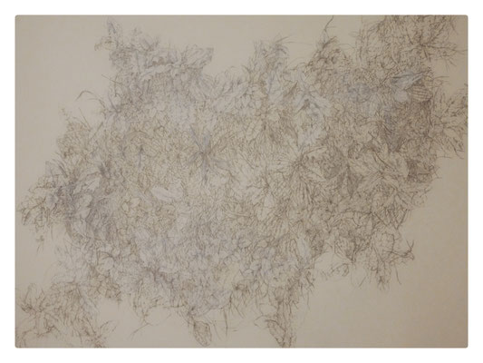 Jachère (Série Shoegaze) / Mai-Juin 2015 / Mine graphite et encre acrylique blanche sur papier / 150x207,3 cm