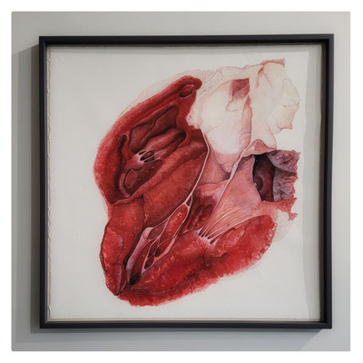 Chamade / 2018 / Aquarelle sur papier chiffon / 76x76 cm hors cadre