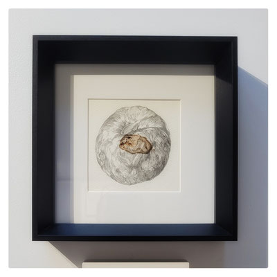 Éden / 2016 / Mine graphite et moisissures alimentaires sur papier Hahnemühle / 19x19 cm (hors-cadre)