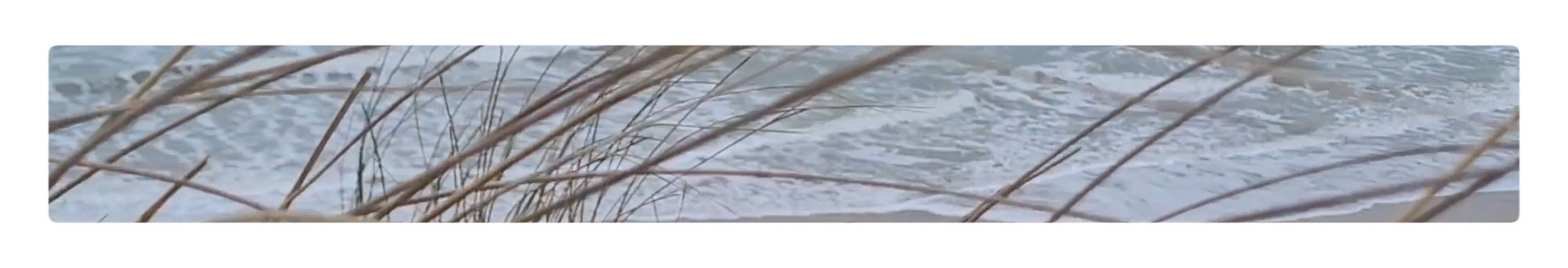 Sémaphore / 2024 / Projection vidéo MP4, Couleur, Muet / 1' / 41x281 cm / Diffusion en boucle