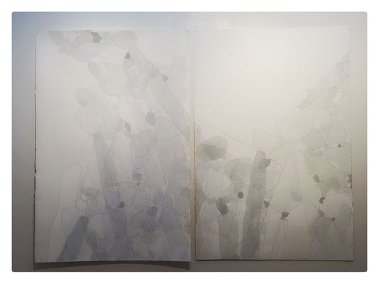 Titane / 2013 / Graphite, blanc de titane et gris de Davy sur papier Arches / Diptyque / 153,5x100 cm chaque élément