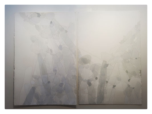 Titane / 2013 / Graphite, blanc de titane et gris de Davy sur papier Arches / Diptyque / 153,5x100 cm chaque élément
