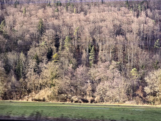 Alle vier Bilder aus dem Zugfenster