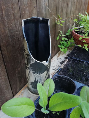 Sie wird ein schönes Gefäss für eine Pflanze abgeben - This vase will be a beautiful container for a plant.