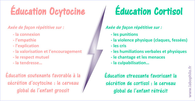 Ocytocine. Cortisol. Cerveau. Catherine Gueguen