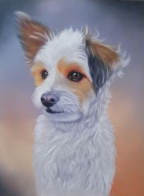 "Nicki " 32 x 24 cm, Pastellkreide , 150 Euro
