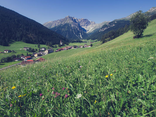 Almwiesen Obernberger Tal
