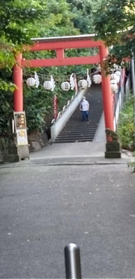 昨日、話題になったのは富岡八幡宮は横浜にもあるということでした。今朝のヨコハマの富岡八幡宮はやはり明神づくりの鳥居でした。