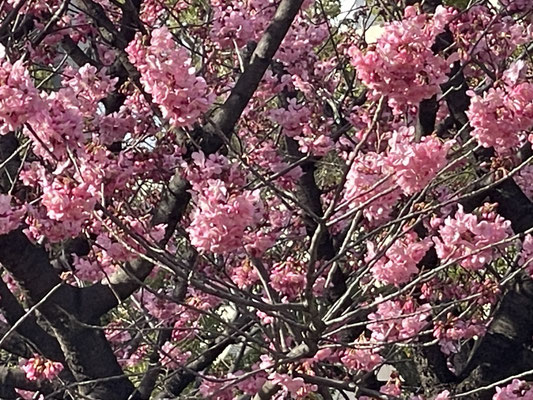 横浜公園４