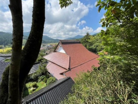 大径木からの浄土寺の眺望