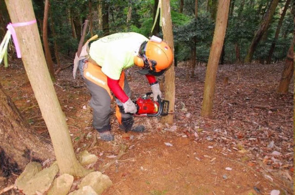 10 月 27日郡山城跡の枯れ木伐採と登山道清掃活動記念撮影 登山道に危険を及ぼす枯損木を伐倒しました