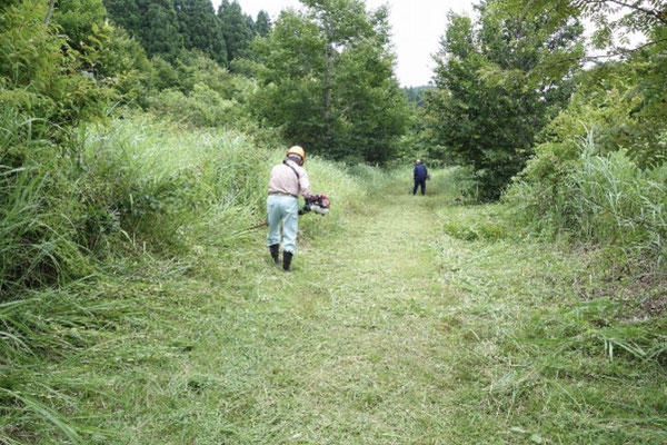 先頭は道幅を刈り、両サイドを2人で刈る