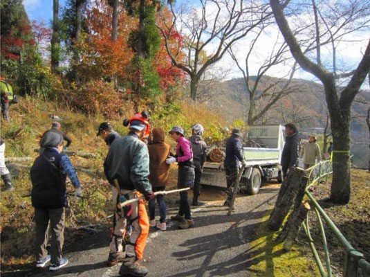 集積班と運搬班の息の合った活動