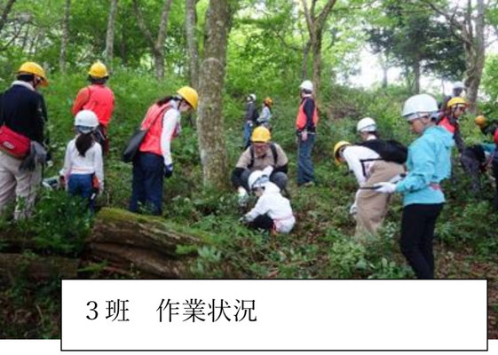  ３班 作業状況 