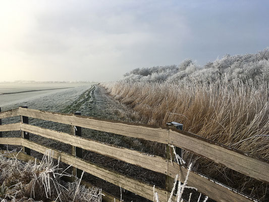 Winter in Holland, Woubrugge, HollandDutchTours.nl