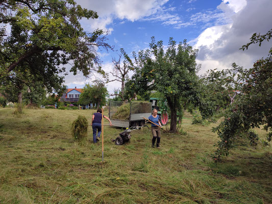 Foto: A. Papesch