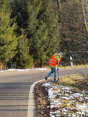 Foto: H. Scholz