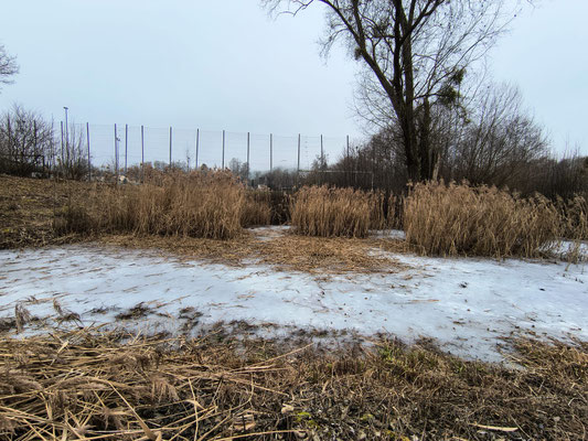 Foto: E. Richter