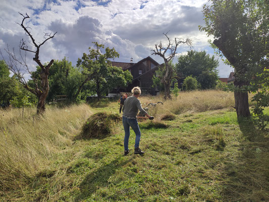 Foto: A. Papesch