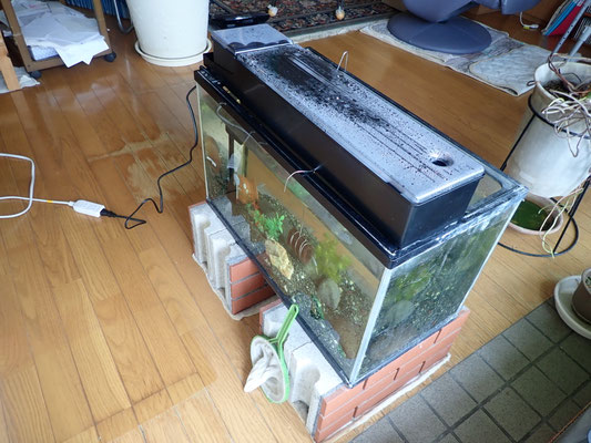 水槽その２