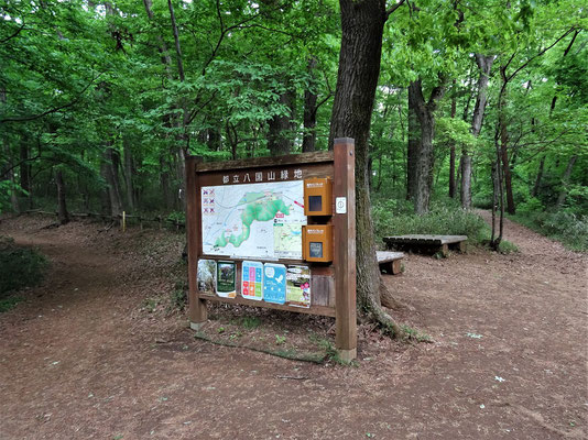 尾根道に設置された八国山緑地案内板。尾根道（全長東西約2㎞）を境に南側が東村山市、北側が所沢市。ナラ枯れは尾根道に沿って点在。