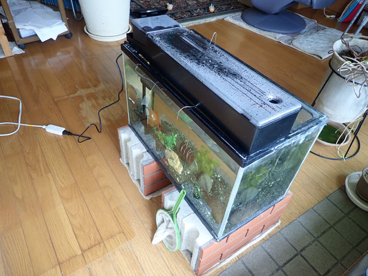 水槽その２