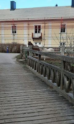 FPÖ_NK_2020-03-07_141923xk_Gfiederwarte