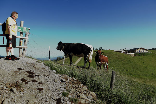 FPÖ_NK_2019-06-29_19