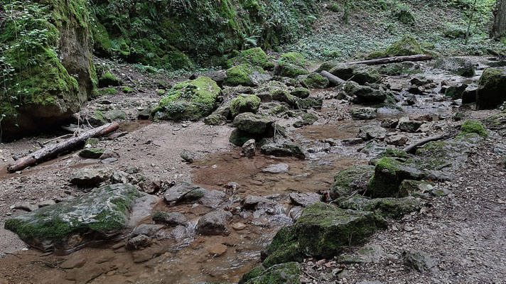 Johannisbachklamm_2020-08-14_162528