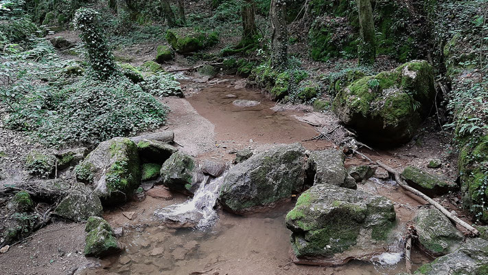 Johannisbachklamm_2020-08-14_162009