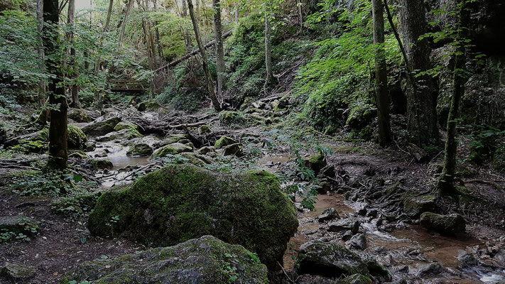 Johannisbachklamm_2020-08-07_165747