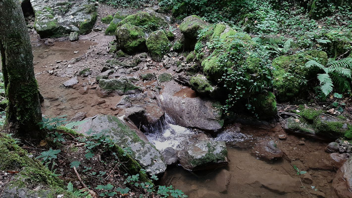 Johannisbachklamm_2020-08-14_162229