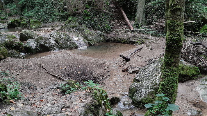 Johannisbachklamm_2020-08-14_162355