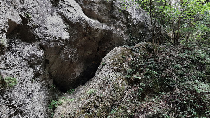 Johannisbachklamm_2020-08-14_162758