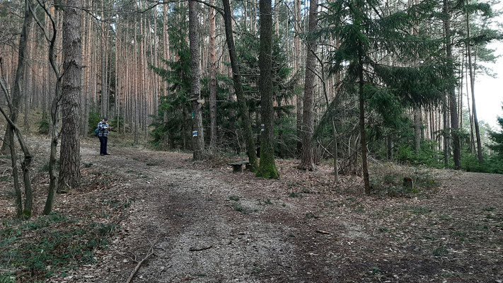 FPÖ_NK_2020-03-07_144957xk_Gfiederwarte