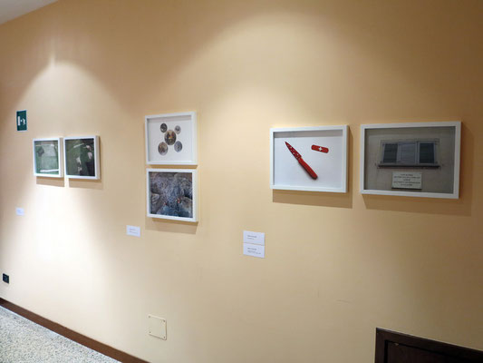 Fausto Colavecchia