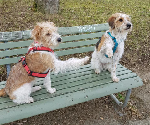 mit Freundin Arwen von der Bijouterie Chlinau