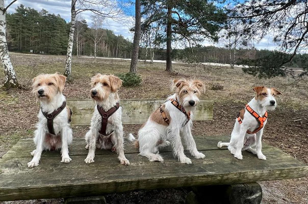 Ein Treffen mit Mma Hummel und Tante Fluse und Schwester Bente, Anfang April 2023