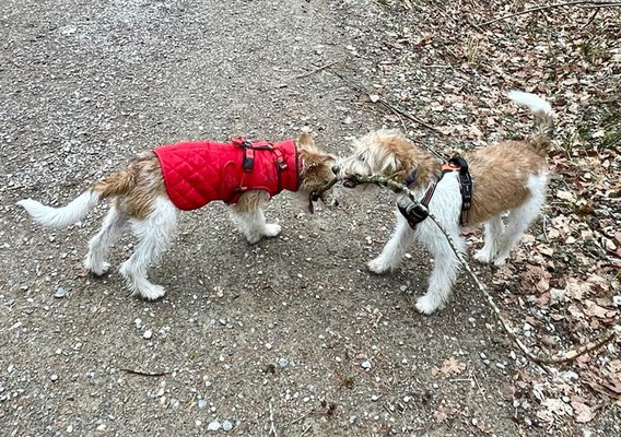 mit Schwester Bailey (links)