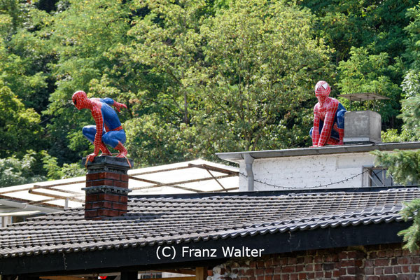 "Spiderman an der Ruhr-Brücke Obergraben in Essen (7-70342)" - (C) Franz Walter