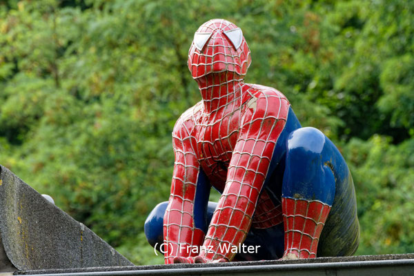 "Ruhrtal Spiderman (7-104332)" - (C) Franz Walter