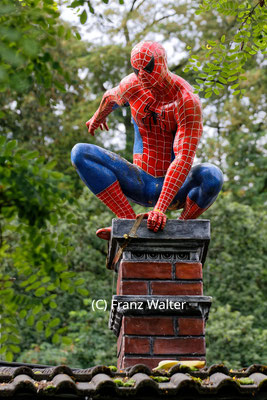 "Ruhrtal Spiderman (7-104292)" - (C) Franz Walter