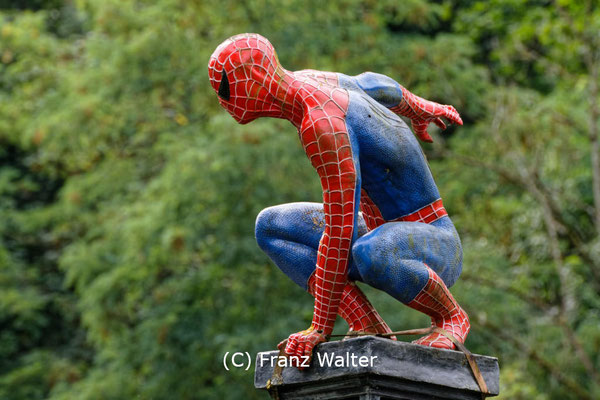"Ruhrtal Spiderman (7-104212)" - (C) Franz Walter