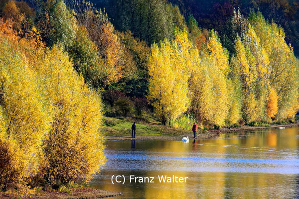 "Herbstzauber am See (40-44003)" - (C) Franz Walter