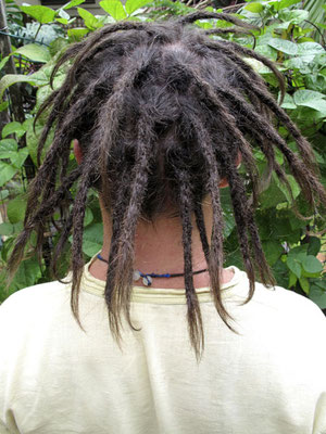 Time Cost Of Getting Professionally Made Dreadlocks