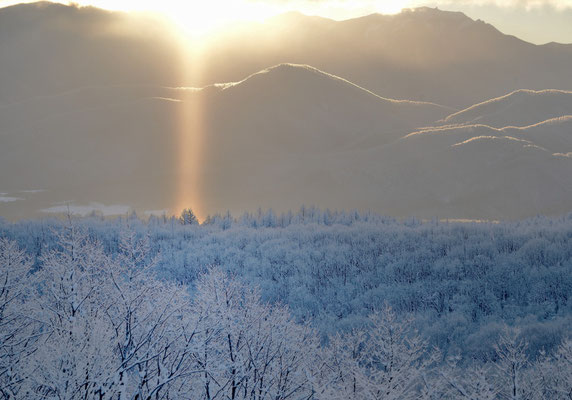写真２．「射光届いて」 　雲間から筋状の朝光が野辺山高原を照らしていました。この日は高原の樹林帯は霧氷の花盛りで煌めいていて、ダイヤモンドダストも見ることが出来ました。