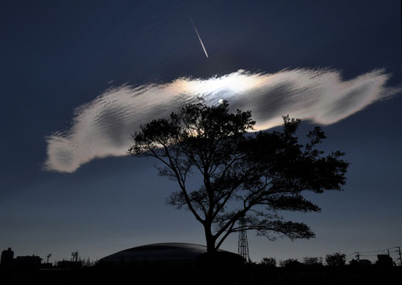 平塚市（木の上に雲、雲の中に太陽、太陽に向かい飛行機雲）コンテスト入選作品